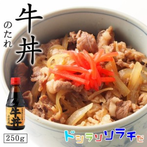 ソラチ 北海道のたれ屋 牛丼のたれ 250g 北海道 牛丼 タレ たれ たれ屋 簡単 万能 プレゼント ギフト ご当地