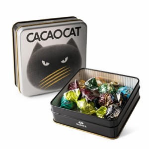 CACAOCAT 缶ミックス 8個入 SILVER 5個セット 送料無料 8フレーバー ダーク ミルク 抹茶 チョコミント ゆず マンゴー ダークラズベリー 