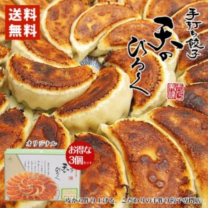 天のびろく 手打ち餃子 オリジナル 12個入×3個セット 餃子 パーティー お土産 プレゼント ギフト バレンタイン