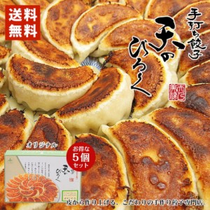 天のびろく 手打ち餃子 オリジナル 12個入×5個セット 餃子 パーティー お土産 プレゼント ギフト バレンタイン