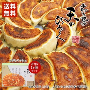 天のびろく 手打ち餃子 とかちマッシュ 12個入×5個セット パーティー お土産 プレゼント ギフト 北海道 