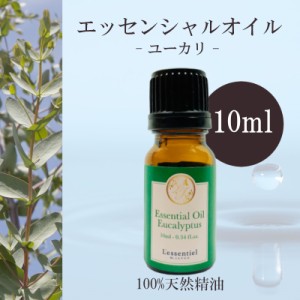 【ユーカリ】精油 10ml  リフレッシュ 爽やか フレッシュ アロマ 自然 天然 エッセンシャルオイル シンプル 単体 葉