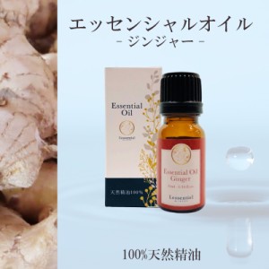 【ジンジャー】精油 10ml 箱付 スパイシー 温まる 落ち着き リラックス アロマ 自然 天然  エッセンシャルオイル シンプル 単体 根