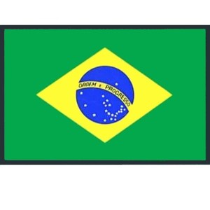 60×90mm ブラジル 国旗 ステッカー 耐水 2434