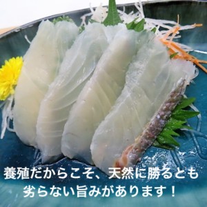 真鯛の湯引き60g（6g×10切）お刺身スライス 湯引きする事で旨みを引き出しました 流水解凍OK 寿司 寿司ネタ ギフト プレゼント 誕生日 