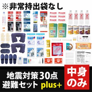 中身だけ 地震対策30点避難セットplus中身のみ 防災セット 災害対策 保存食 保存水 非常用トイレ 防災グッズ 防災用品 防災 2人用 災害