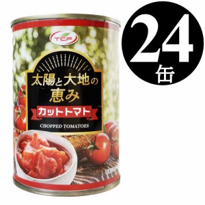 太陽と大地の恵み カット トマト缶 390gx24缶 トマト 缶詰 完熟 ダイスカット 業務用 まとめ買い 備蓄 ローリングストック 送料無料