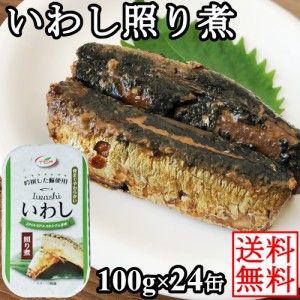 いわし照り煮缶 鰯煮付け イワシ醤油煮 使い切りサイズ 100gx24缶 まとめ買い 