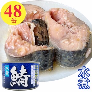 鯖缶 水煮 150gx48缶 サバ 缶詰 さば缶 さばかん 業務用 おつまみセット まとめ買い