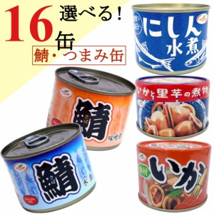 鯖缶  詰め合わせ 200gｘ16缶 （サバ 水煮 味噌煮 イカ味付） まとめ買い  おつまみ 缶詰 アテ 酒の肴 おつまみセット