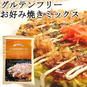 グルテンフリー お好み焼き粉 240gx1袋 お米のお好み焼きミックス 国産米粉 小麦粉不使用 小麦アレルギー対応 特定原材料28品目不使用 牛