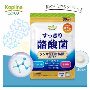 すっきり酪酸菌 90粒 1袋30日分【軽やかなカラダづくり/1日3粒/タンサ脂肪酸を生み出す/酪酸菌/ビフィズス菌/乳酸菌/イヌリン/難消化性デ