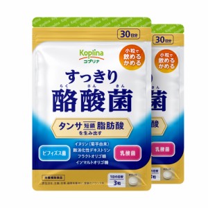 すっきり酪酸菌 90粒 2袋セット60日分【軽やかなカラダづくり/1日3粒/タンサ脂肪酸を生み出す/酪酸菌/ビフィズス菌/乳酸菌/イヌリン/難消