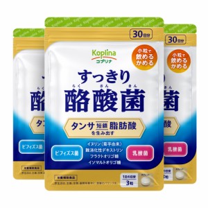 すっきり酪酸菌 90粒 3袋セット90日分【軽やかなカラダづくり/1日3粒/タンサ脂肪酸を生み出す/酪酸菌/ビフィズス菌/乳酸菌/イヌリン/難消