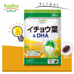 イチョウ葉&DHA 60粒 1個30日分【ソフトカプセル/フラボノイド配糖体/テルペンラクトン/冴え/集中/健康/サプリ/サプリメント/栄養補助食