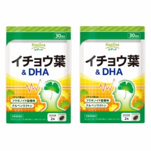 イチョウ葉&DHA 60粒 2袋セット60日分【ソフトカプセル/フラボノイド配糖体/テルペンラクトン/冴え/集中/健康/サプリ/サプリメント/栄養