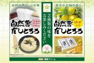 「自然薯だしとろろ」と「自然薯だしとろろ ゆず入り」のセット