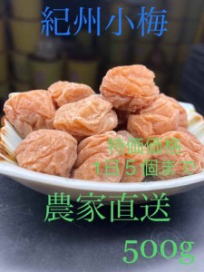 農家直送　紀州南高梅　小梅　無添加　500g