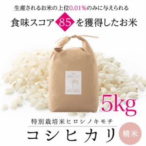 特別栽培コシヒカリ　ヒロシノキモチ　精米５kg【送料無料】