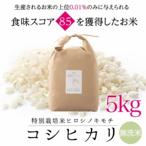 特別栽培コシヒカリ　ヒロシノキモチ　無洗米５kg【送料無料】