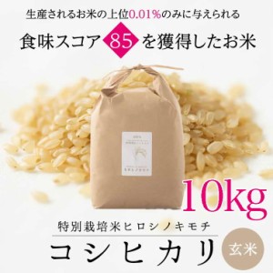 特別栽培コシヒカリ　ヒロシノキモチ　玄米１０kg【送料無料】