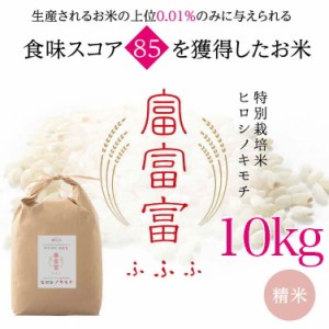 富山ブランド米　富富富リ　ヒロシノキモチ　精米１０kg【送料無料】