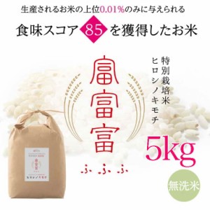 富山ブランド米　富富富　ヒロシノキモチ　無洗米５kg【送料無料】