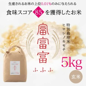 富山ブランド米　富富富　ヒロシノキモチ　玄米１０kg【送料無料】