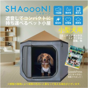 SHAoooN！（シャオーン）