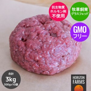 グラスフェッドビーフ 最高品質 低脂肪 赤身 ひき肉 牛肉 100% 牧草牛 冷凍 300g x 10パックセット 合計3kg 高品質 挽肉 ミンチ