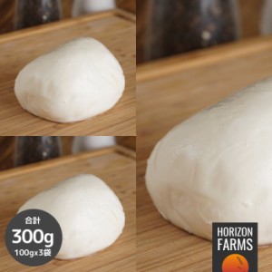 無添加 冷凍 モッツァレラ チーズ イタリア産 100g x 3 合計300g 高品質 ナチュラルチーズ