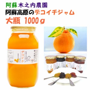 九州熊本の逸品 木之内農園 阿蘇高原デコイチジャム 1kg【送料無料(※一部地域を除く)】果実が丸ごとたっぷり！塗るではなく「のせる」ジ