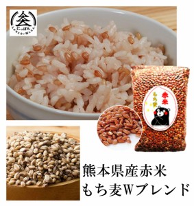 【送料無料】赤米 無/減農薬栽培,完全無添加/無着色,残留農薬ゼロ 赤米もち麦Ｗブレンド500g
