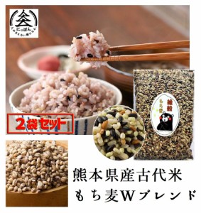 【送料無料】【お得な2袋セット】古代米 無/減農薬栽培,完全無添加/無着色,残留農薬ゼロ 古代米もち麦Ｗブレンド500g×2 