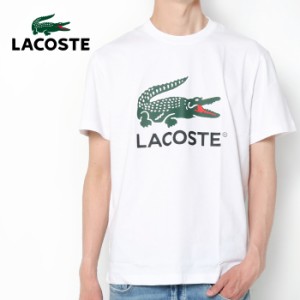 LACOSTE ラコステ ワニロゴ グラフィックプリント半袖 Tシャツ TH6396 メンズ プリントT ブランド 丸首 大人 リゾート 春 夏クルーネック