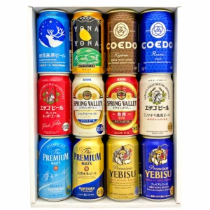 父の日 誕生日 御祝 ビール ギフト プレミアムビール＆クラフトビール 飲み比べ ビール 12種12本 ビールセット 送料無料 誕生日 内祝 御