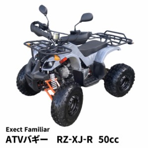 バギー 50cc 公道の通販｜au PAY マーケット