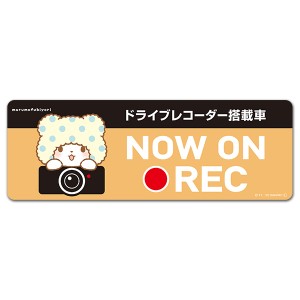 車マグネットステッカー ゆうパケット対応210円〜まるもふびより ドラレコステッカー ドライブレコーダー搭載車 NOW ON REC スリム型