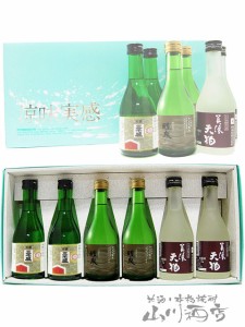  岐阜銘酒飲み比べセット 300ml×6本セット【 A 】 【 2859 】 【 要冷蔵 】【 送料無料 】