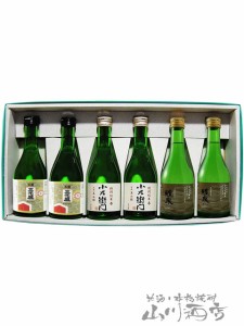  岐阜銘酒飲み比べセット 300ml×6本セット【 B 】 【 4126 】 【 日本酒 】【 送料無料 】