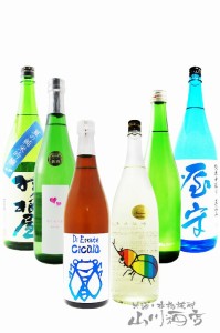  人気の日本酒 夏酒 飲み比べ 720ml 6本セット 【6434】 【 日本酒 】【 要冷蔵 】【 送料無料 】