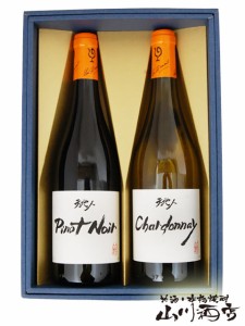  天地人 ピノ・ノワール ＋ シャルドネ 750ml×2本セット  / ルー・デュモン ( 仲田晃司 )  【 4287 】 【 フランス紅白ワインセット 】