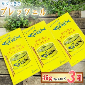 サヴァ缶のプレッツェル 1箱(22.5g×2袋入)×3箱セット サバ缶 サヴァ缶 プレッツェル お菓子 送料無料 メール便 YP [プレッツェル３箱] 