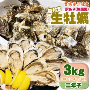 訳あり 生牡蠣 3kg 無選別 宮城県三陸産 殻付き 冷蔵  お取寄 おうちグルメ 送料無料 [訳あり 無選別 三陸産生牡蠣3キロ 二年子]