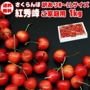 予約販売 さくらんぼ 紅秀峰 1kg 山形県産 ご家庭用 訳あり バラ詰め M〜LLサイズ チルド便（クール便） 【送料無料(九州・沖縄県を除く)