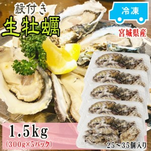 牡蠣 瞬間冷凍 レンジでチン 国産 宮城県産 1.5kg 25〜35個入り  (300g×5パック) お試し 冷凍 お取り寄せ おうちグルメ 肉厚 時短 送料