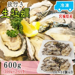 牡蠣 瞬間冷凍 レンジでチン 国産 宮城県産 600g 10〜14個入り (300g×2パック) お試し 冷凍 お取り寄せ おうちグルメ 肉厚 時短 送料無