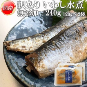 在庫処分 いわし 水煮 無添加 国産 240g 訳あり メール便 送料無料 [いわし水煮120g×2袋 BS] NP 即送