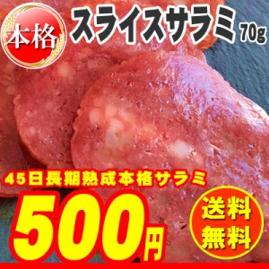 サラミ おつまみ [スライスサラミ55π 70g S1] ポイント消化 送料無料 500円 ぽっきり ポッキリ 食品 メール便 YP 即送