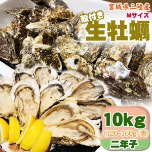 生牡蠣 10kg  Mサイズ 宮城県三陸産 殻付き 冷蔵  お取寄 おうちグルメ 送料無料 [Mサイズ 三陸産生牡蠣10キロ 二年子]